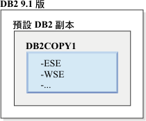 預設 DB2 副本的範例。