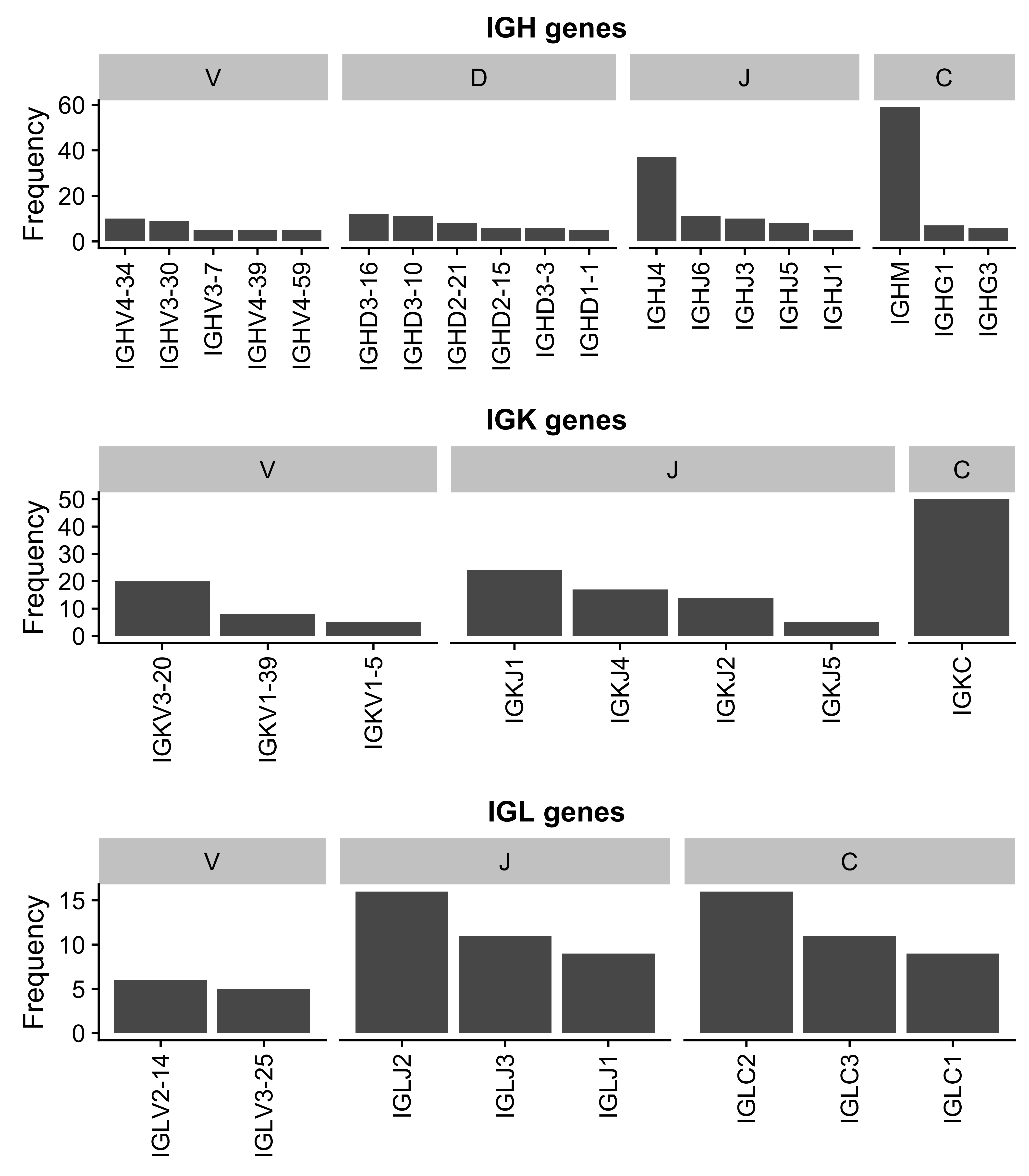 – Ig gene usage distribution for all V, D, J and C genes.