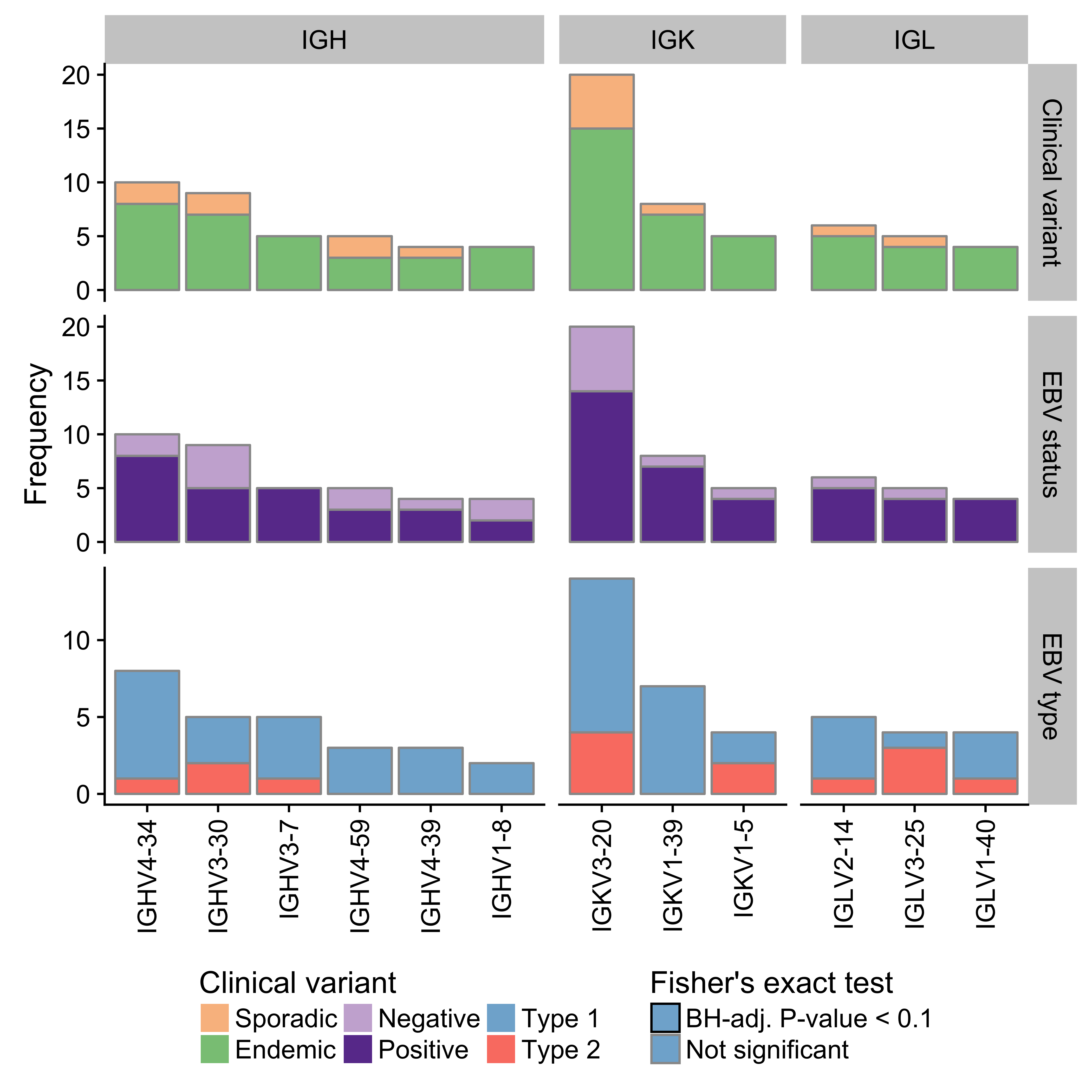 – Frequency of immunoglobulin V gene usage among dominant heavy (IGH) and light (IGK/IGL) chain clones. Only displaying genes with a minimum frequency of four. No Ig genes were significantly associated with either clinical variant status, EBV infection status or EBV genome type.