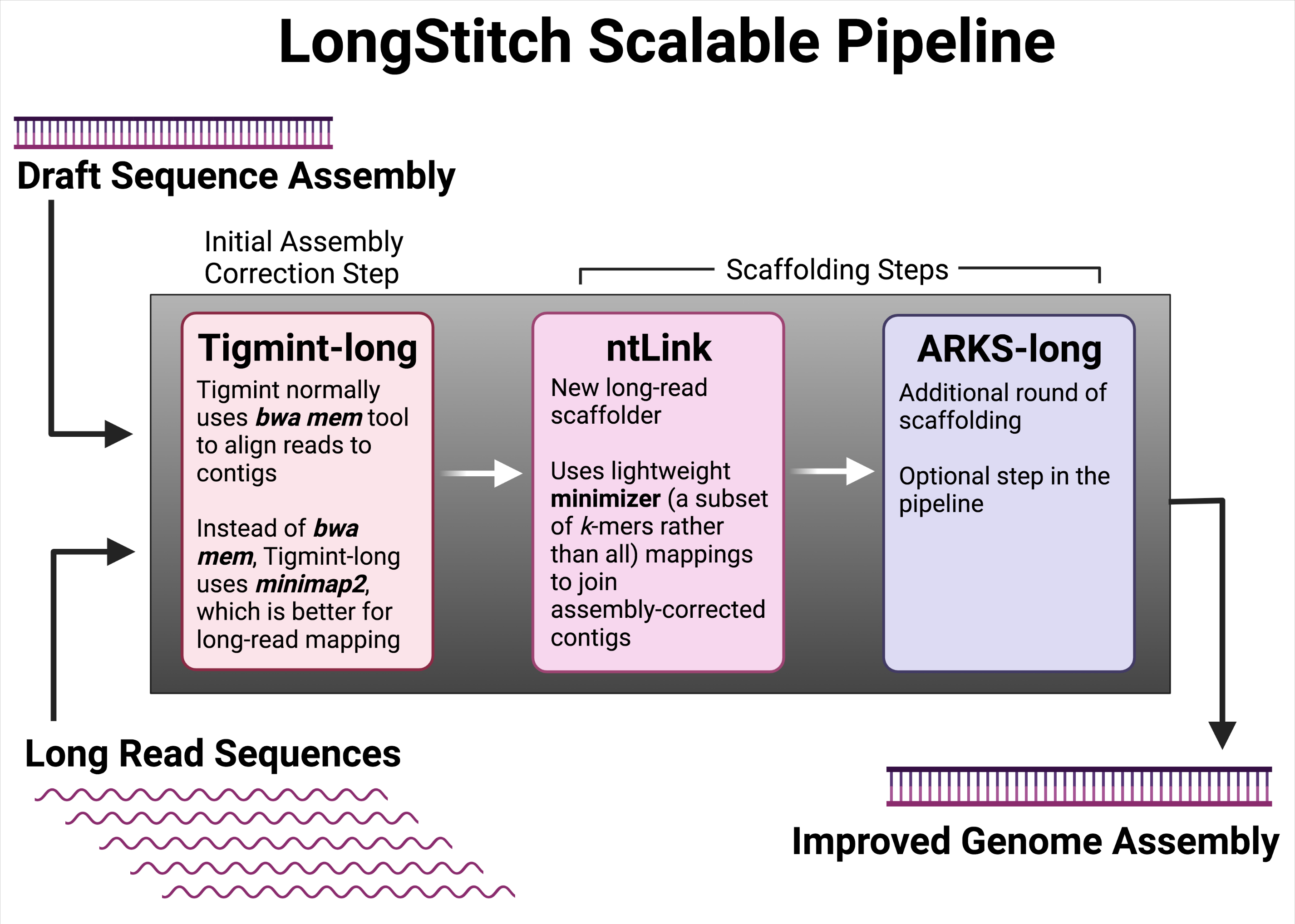 Workflow of LongStitch