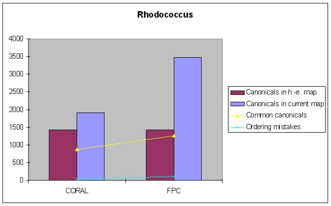 Rhodococcus