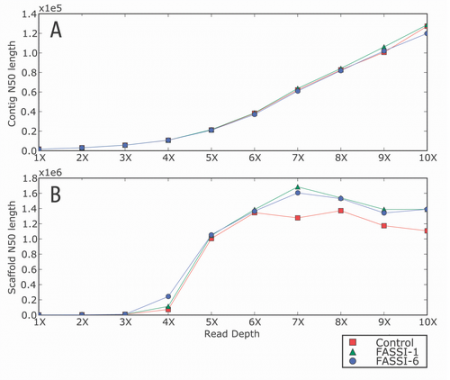 result-image-1