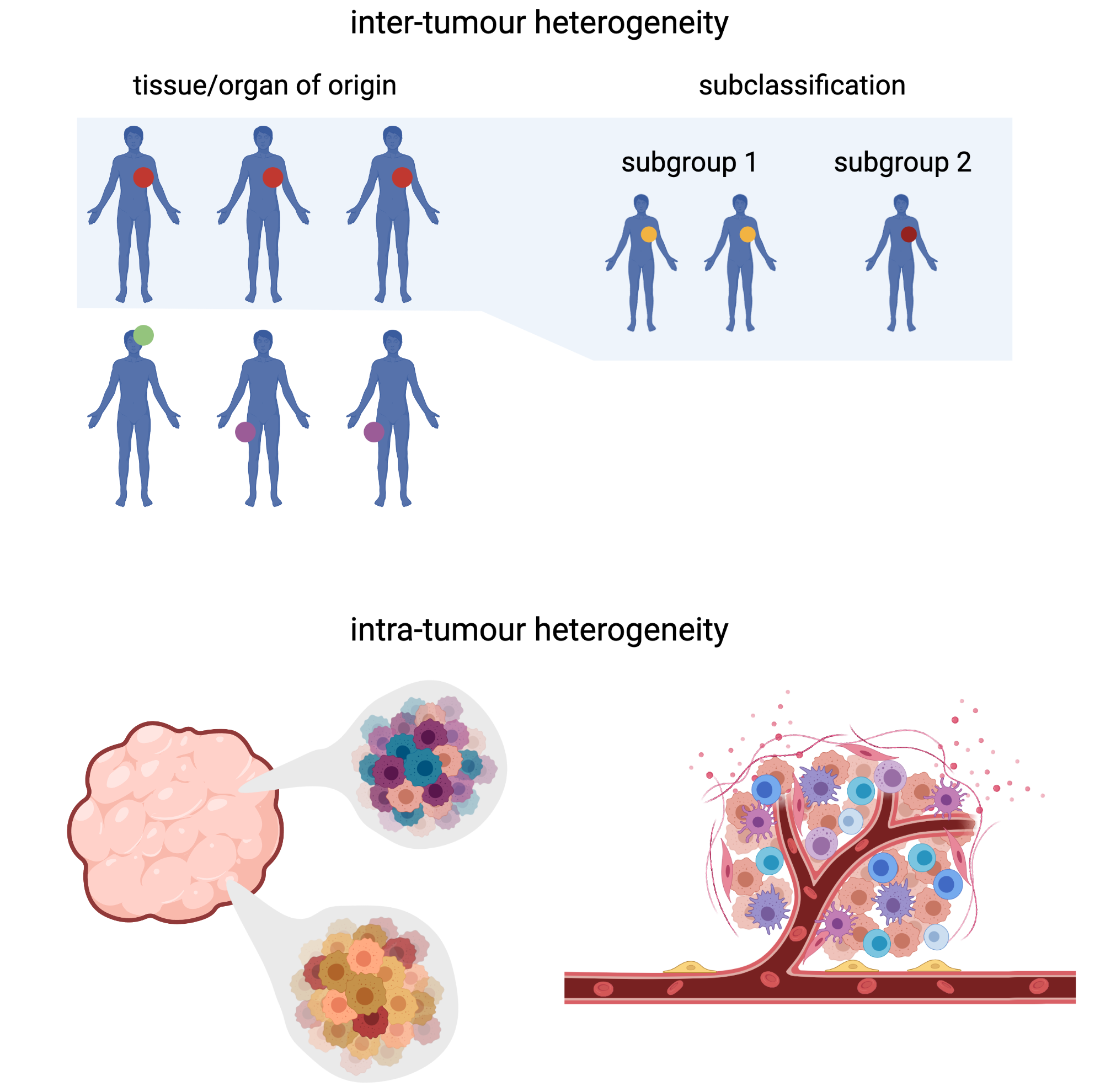 Tumour heterogeneity